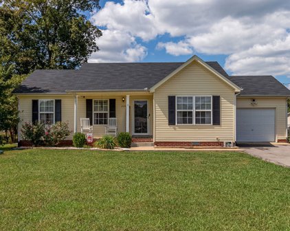 229 Loch Lomand Dr, Christiana