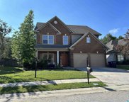 2066 Forest Lakes Lane, Chelsea image