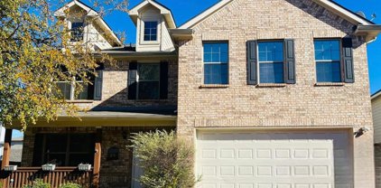 13232 Fencerow  Drive, Fort Worth