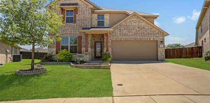 13137 Upland Meadow  Court, Fort Worth