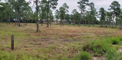TBD 3 acres Virginia Dr., Loris