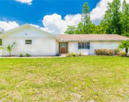 17933 Eagle Lane, Lutz image