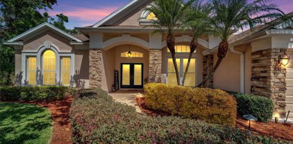 2512 Centennial Falcon Drive, Valrico