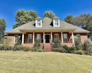 905 Teaberry Lane, Hoover image