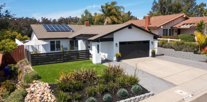 10036 Connell Rd, Scripps Ranch