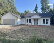 150 Prophecy Lane, Springville image
