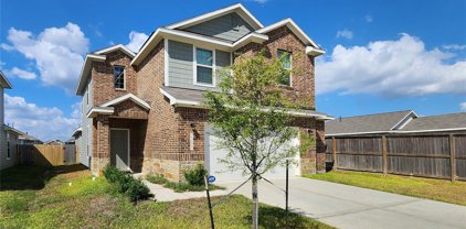 25522 Northpark Spruce Drive, Porter