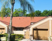 3454 Hillmoor Drive, Palm Harbor image