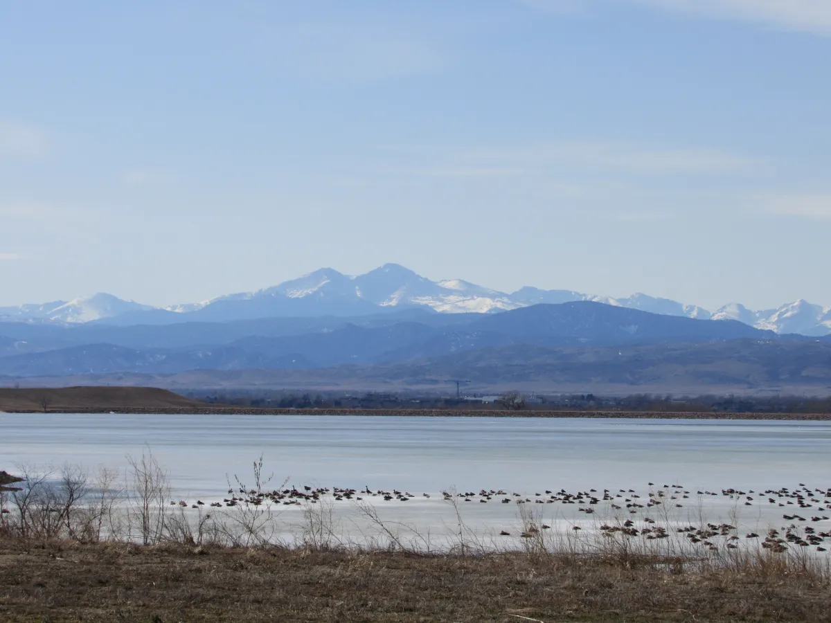 Wildwing Timnath Colorado Luxury Waterfront Homes