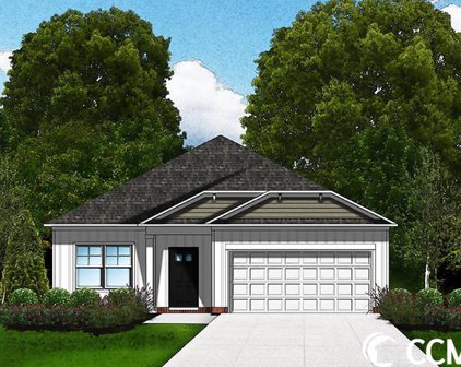 293 Palmetto Sand Loop, Conway