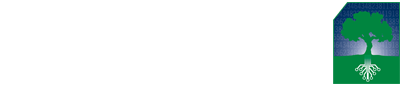 The Scott Smolen Team logo