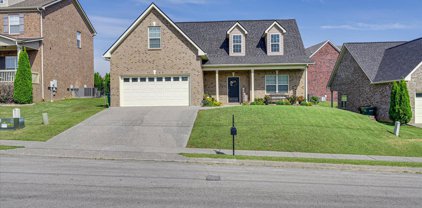 3030 Honeysuckle Dr, Spring Hill