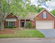 10421 Pullengreen  Drive, Charlotte image
