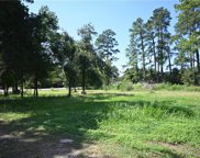 Cardinal  Loop, Marksville image