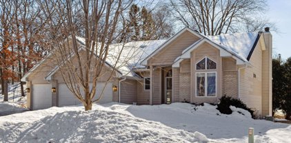 310 Dearborn Court, Edina