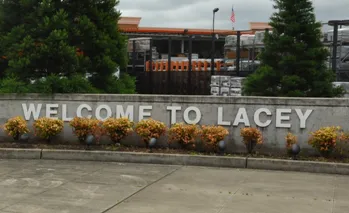 lacey