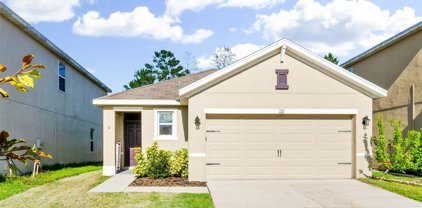125 Lacewing Place, Valrico