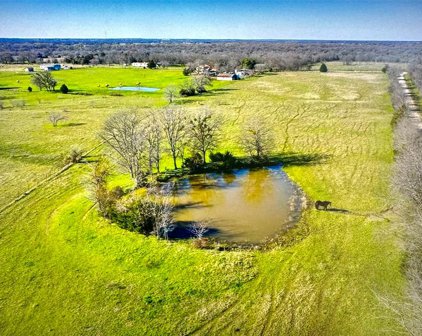 lot 2 Lot 2 Vz County Road 2622 Wills Point, Tx 75169, Wills Point