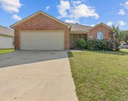 14100 Cochise  Drive, Fort Worth image