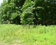 10335 Dartmoor Way, Zionsville image