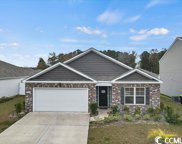 126 Pine Forest Dr., Conway image