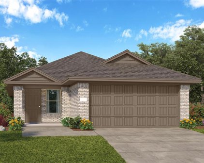 221 Crystal Bay Lane, Willis