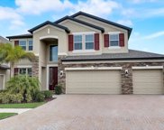 11078 Sundrift Drive, Tampa image