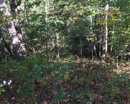 Lot 30,31 Wilson Ave, Beltsville