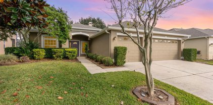 10051 Hart Branch Circle, Orlando
