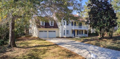 207 Birkhill, Peachtree City