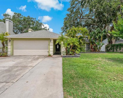 1231 Lornewood Drive, Valrico