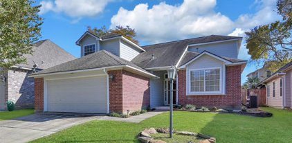 4843 Moonlight Drive, Willis