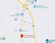 270 Tree Haven Lane, Calera image