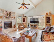 11208 Forest Rain, Live Oak image
