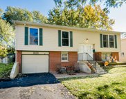 8115 Leawood Lane, Woodridge image