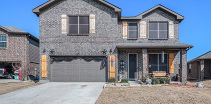 3109 Spotted Fawn  Drive, Fort Worth