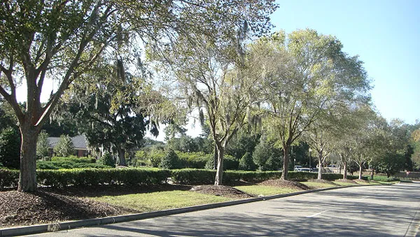 Park West Mount Pleasant