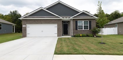 151 Olivia Circle, Chapel Hill
