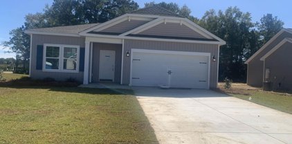 360 Palmetto Sand Loop, Conway
