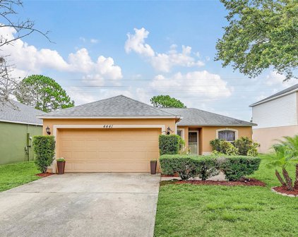 4441 Stonemeadow Drive, Orlando