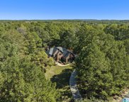 102 Cahaba Falls Lane, Helena image