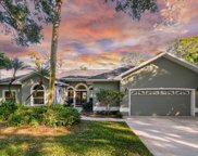 15715 Willowdale Road, Tampa image
