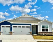 18161 White Cedar Ct, Milton image