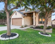 12618 Red Maple Way, San Antonio image