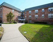 2 Fowler Avenue Unit #215, Lynbrook image