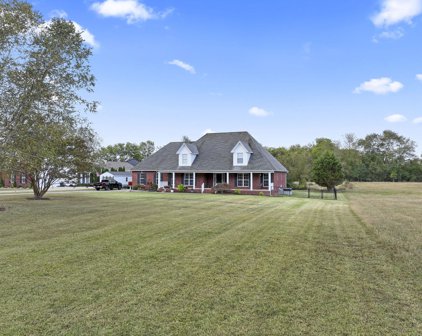 111 Barvas Ln, Lascassas