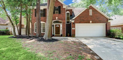 20823 Sweet Violet Court, Humble