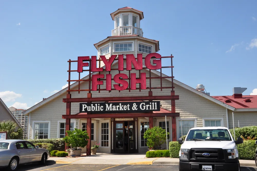 Flying Fish