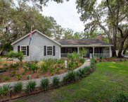 12407 Wexford Hills Road, Riverview image
