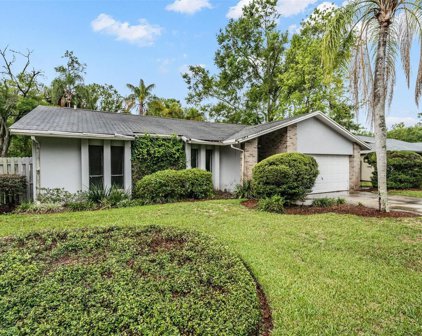 1519 Blind Pond Avenue, Lutz